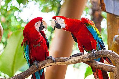 《梦幻战士收藏合集3》登陆Switch 系列5部游戏完整移植